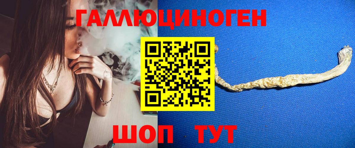 Галлюциногенные грибы MAGIC MUSHROOMS  Вход с VPN  Тосно 